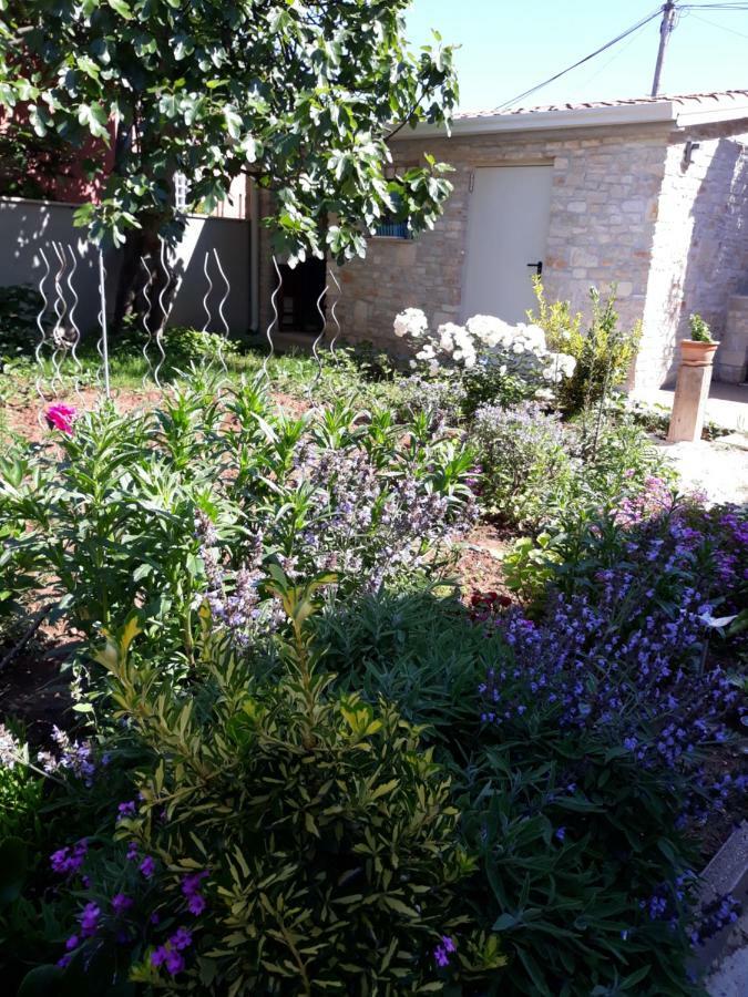 Apartments Vanesa بولا المظهر الخارجي الصورة